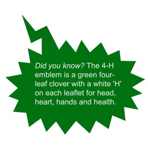 4 H did you know