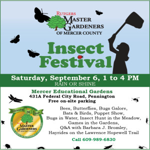 InsectFest