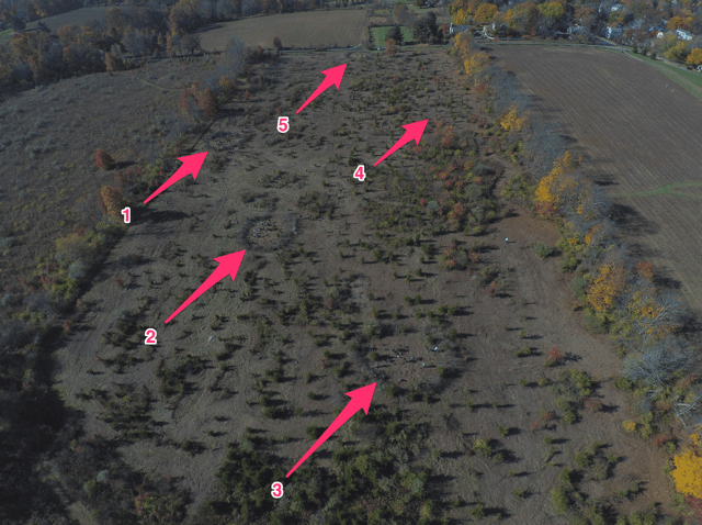 Volunteers created innovative visual and physical barrier rings to discourage deer browse. They used dead invasive shrubs and trees cut by volunteers in October. Can you spot the planting areas? - aerial photo courtesy of JP Willis of Willis Renovations LLC 