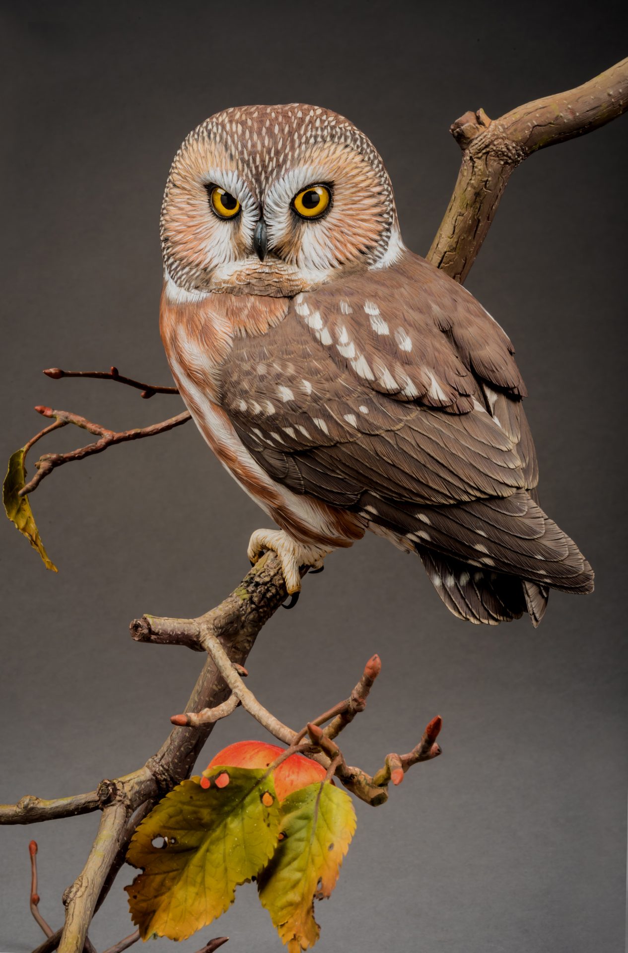 SAW WHET OWL DECOY with foliage MercerMe