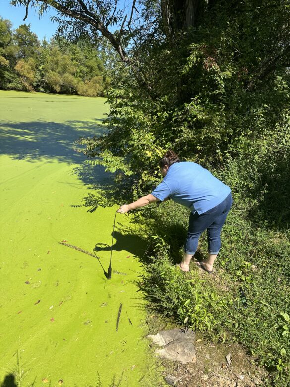 The Watershed Institute Warns About Harmful Algal Blooms (HABs) in New